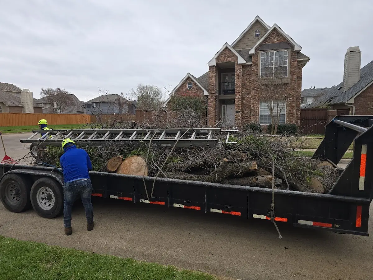 Expert Lot Clearing with proper safety equipment in Demotte